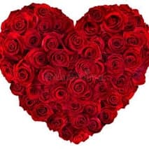 Glow-Up Special 🌹 at Red Light Body Sculpting in Rochester, NY